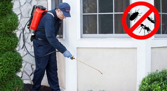 Güney Böcek İlaçlama böcek ilaçlama ve haşere kontrolü — ilaclama-tr.com
